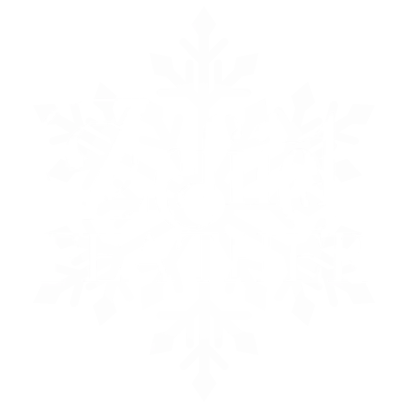 Zefiil Feather Logo Startseite weiss